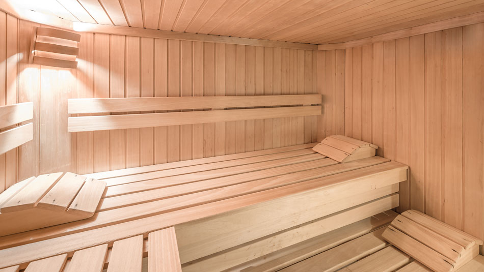 Sauna Haus Alpenblick